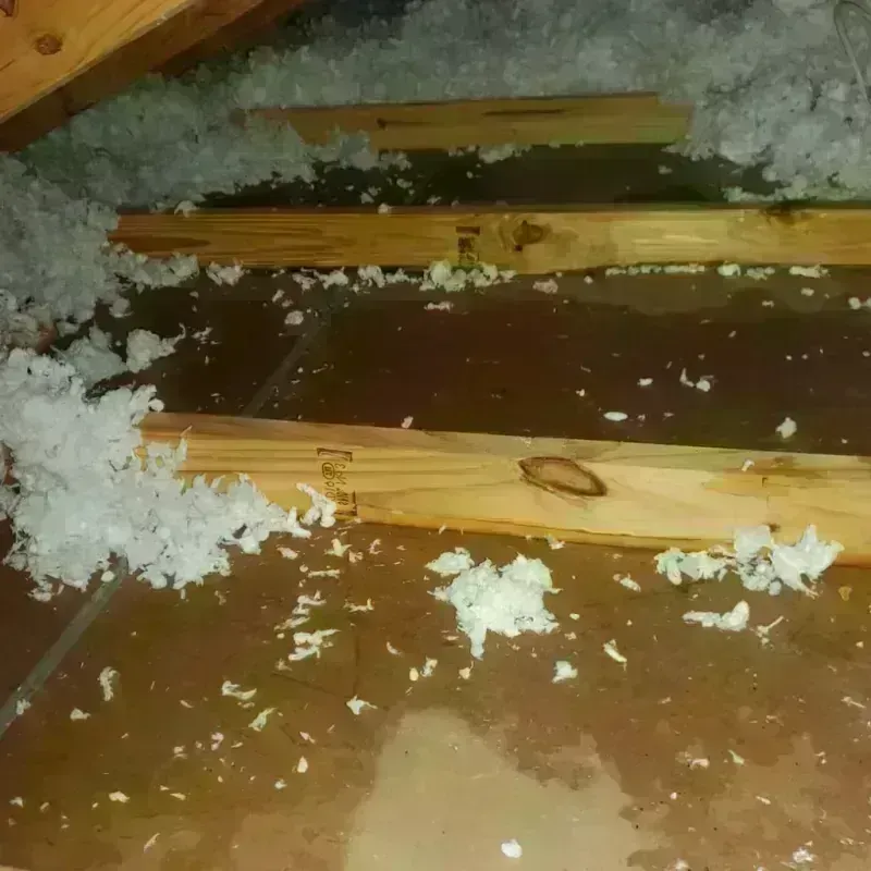 Attic Water Damage in Swift County, MN