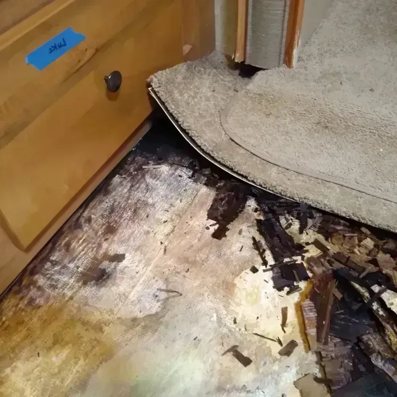 Wood Floor Water Damage in Swift County, MN